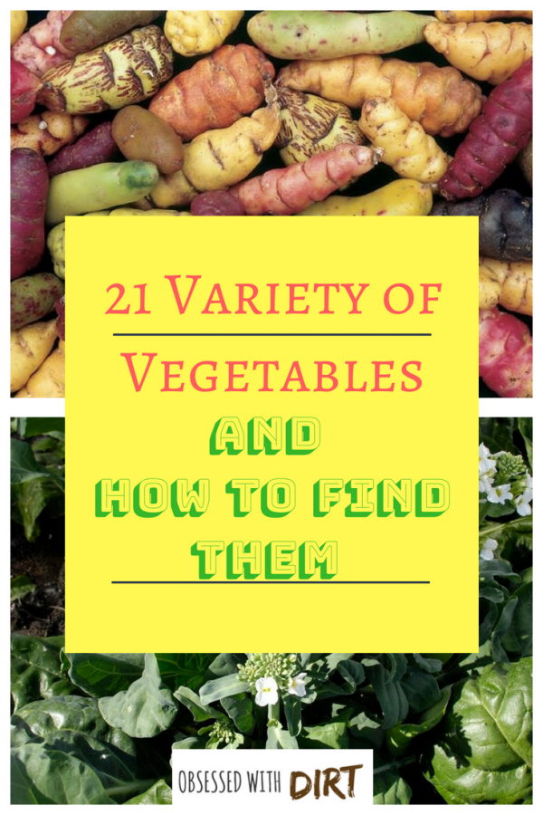 variety of vegetables