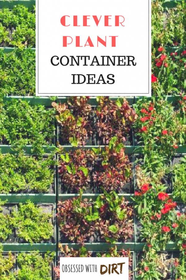Container vegetable gardening