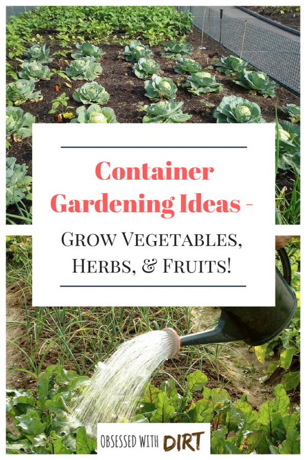 Container vegetable gardening