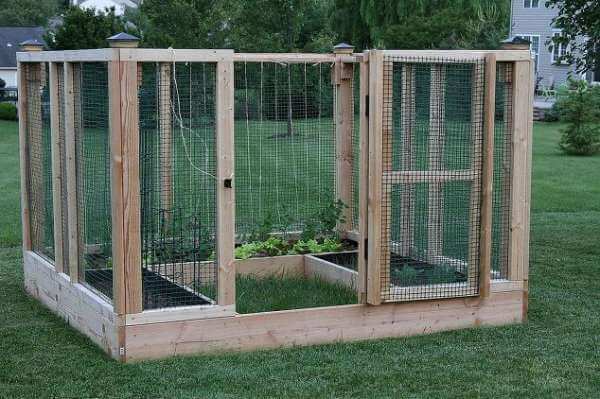 DIY Garden Enclosure