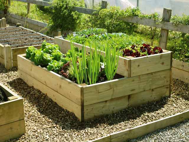 DIY Raised Garden Beds