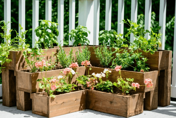 DIY Tiered Herb Garden