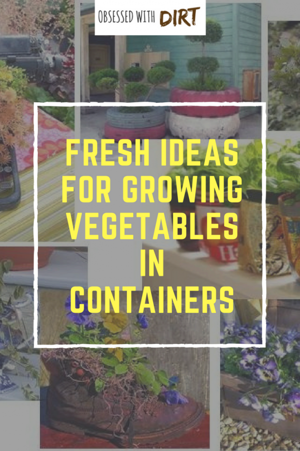 Container vegetable gardening