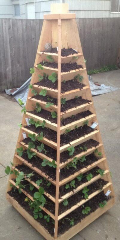 Garden Pyramid