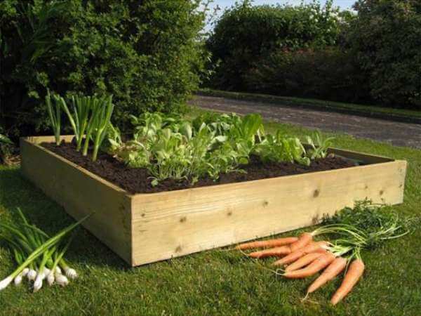 Lifted Garden Bed