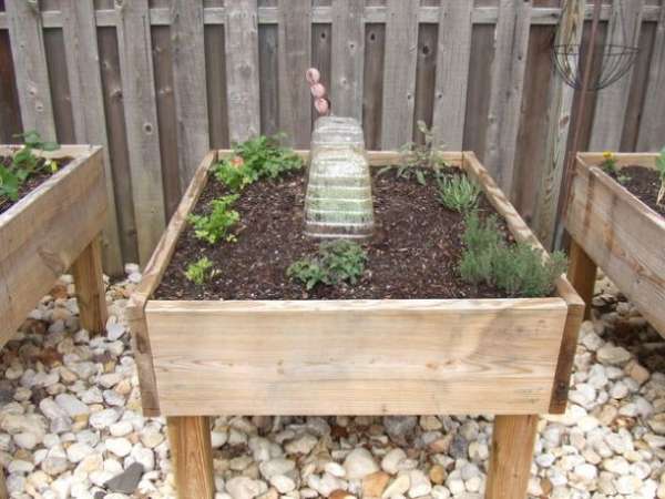 Mini Elevated Garden Bed