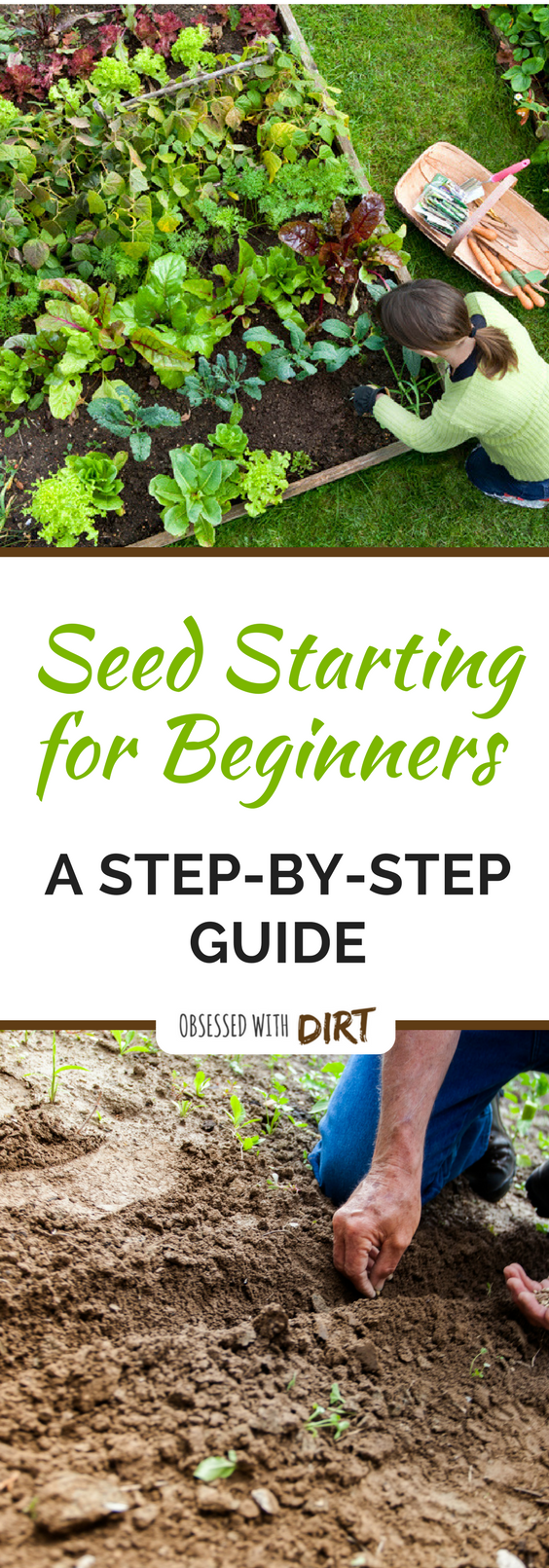 seed starting for beginners