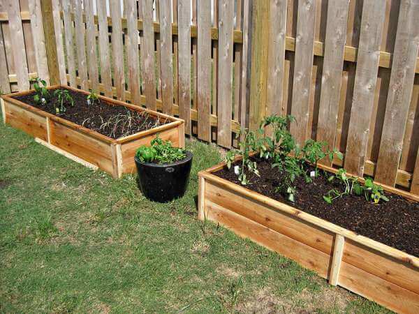 Simple Cedar Garden Boxes
