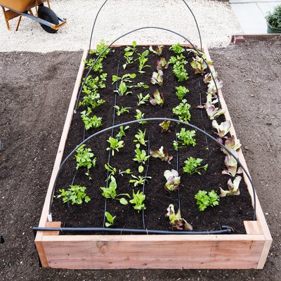 The Ultimate Garden Bed
