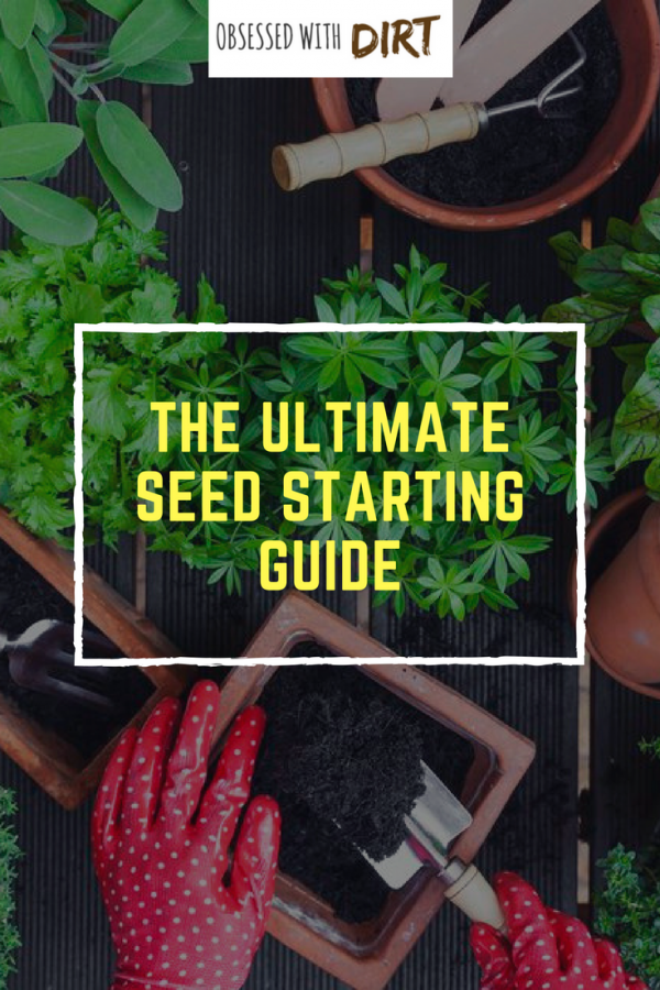 seed starting tricks