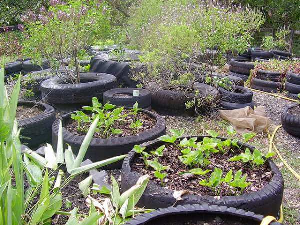 Tire Garden Beds