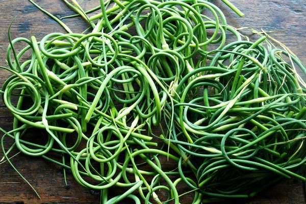 Garlic Scapes
