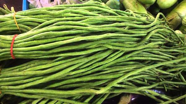 Yardlong beans