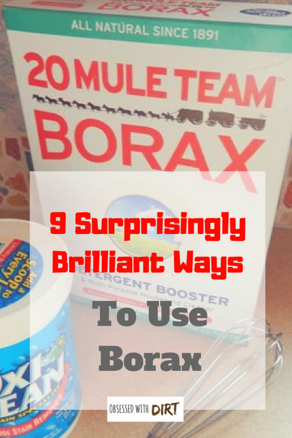 9 ways to use borax