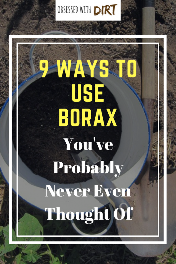 ways to use borax you've probably never thought of