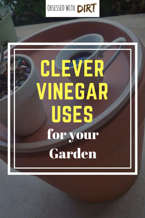 useful vinegar tips for your garden