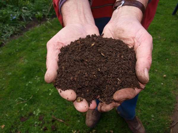 Testing soil before planting to check pH level