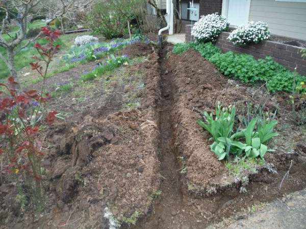 drainage in garden for excess water to flow away