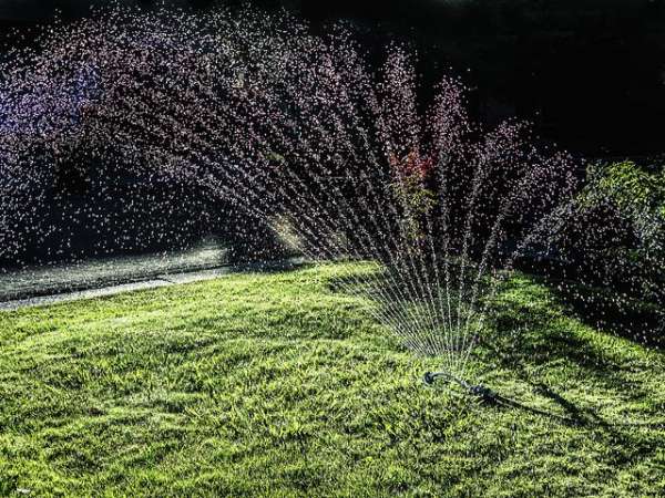 Sprinkler watering a garden