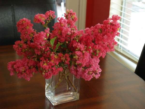 Cut flowers in a jar