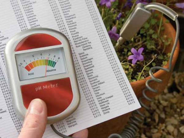 Adjusting pH levels and checking the value on the pH meter
