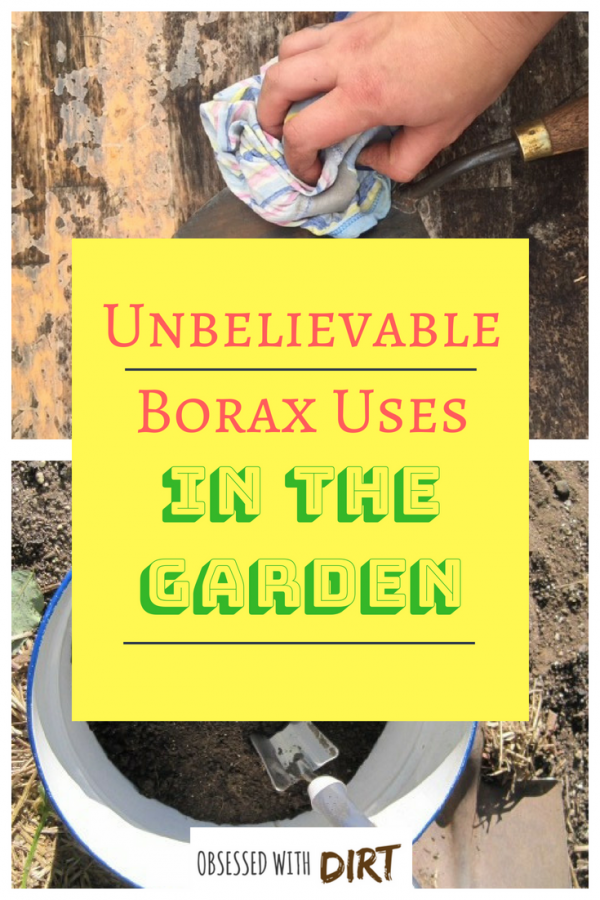 borax uses in the garden