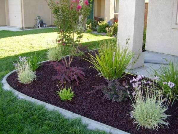 Garden with mulched soil