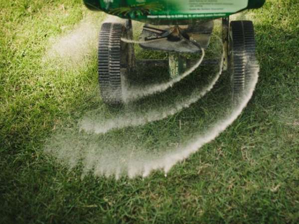 Weed mower removing weeds