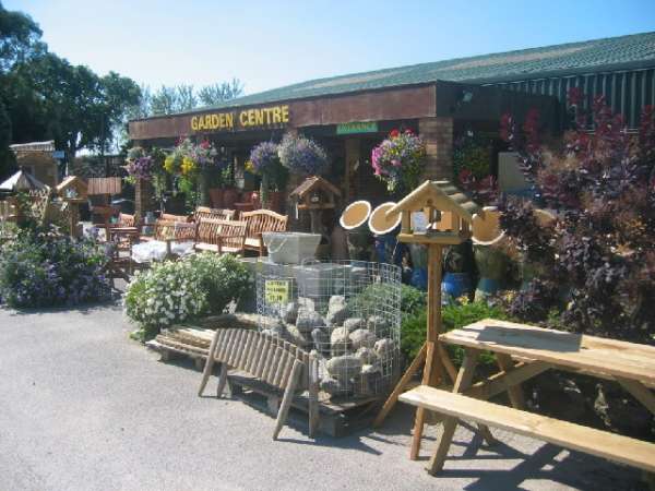 Garden center where you get borax