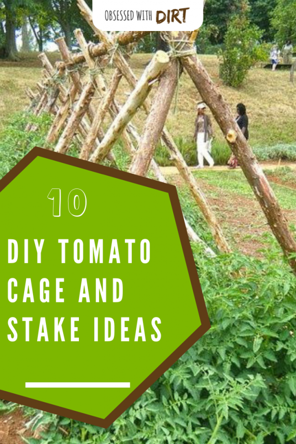 DIY Tomato Cages and Stake Ideas for Tomatoes