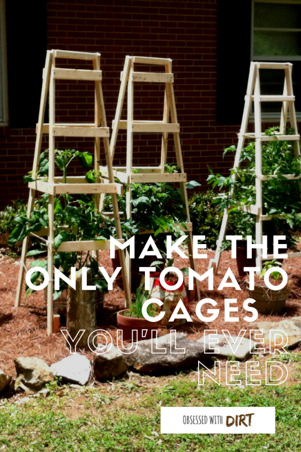 tomato cages you'll ever need